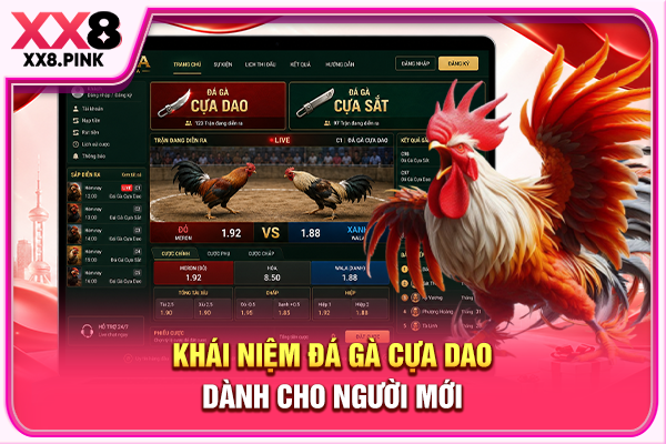Khái niệm đá gà cựa dao dành cho người mới